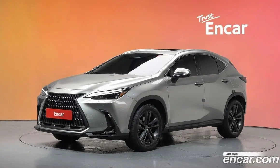 Lexus NX 2024 2.5 автомат (гидро), фото 33 Lexus NX 2024 2.5 автомат (гидро), фото 33