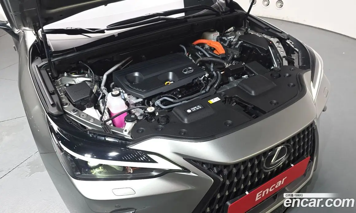 Lexus NX 2024 2.5 автомат (гидро), фото 5 Lexus NX 2024 2.5 автомат (гидро), фото 5