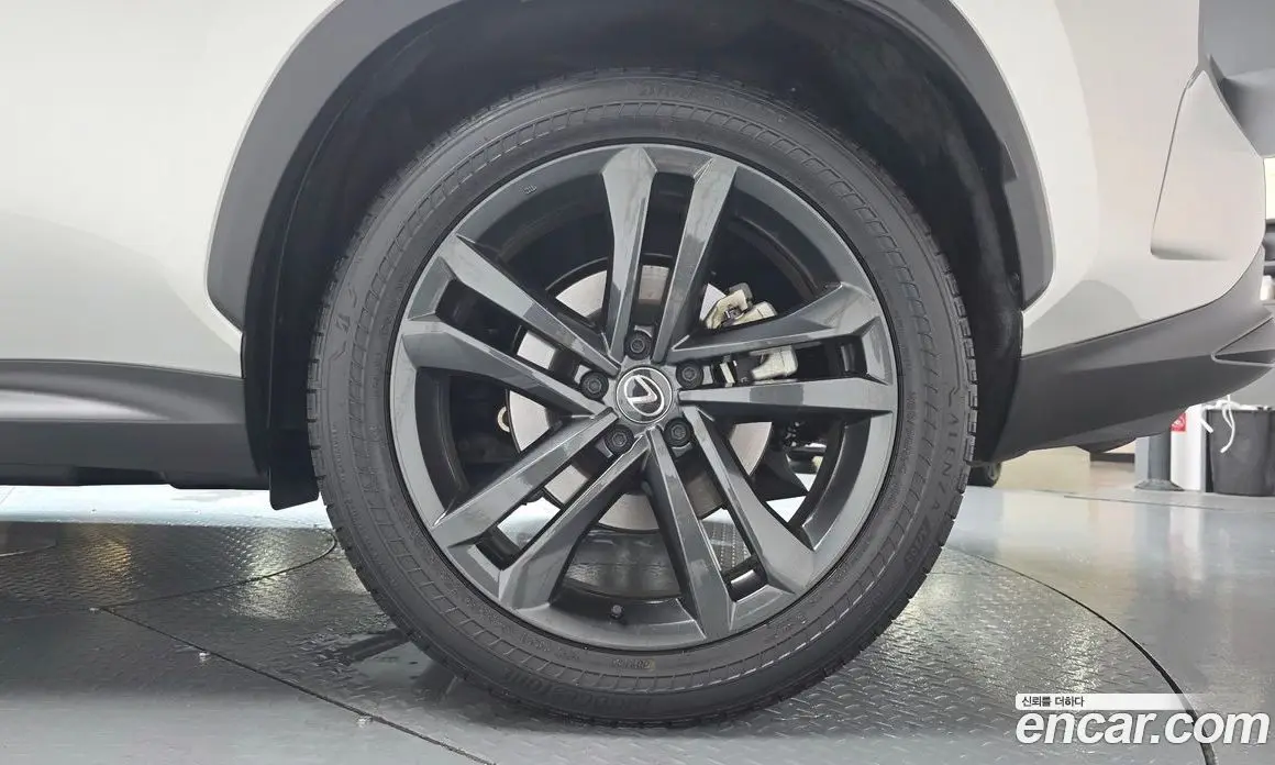 Lexus NX 2024 2.5 автомат (гидро), фото 6 Lexus NX 2024 2.5 автомат (гидро), фото 6