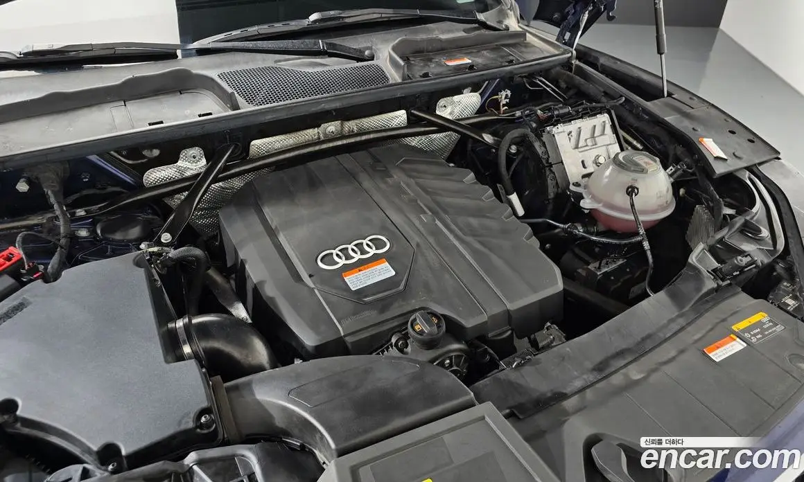 Audi Q5 2021 2.0 автомат (гидро), фото 6 Audi Q5 2021 2.0 автомат (гидро), фото 6