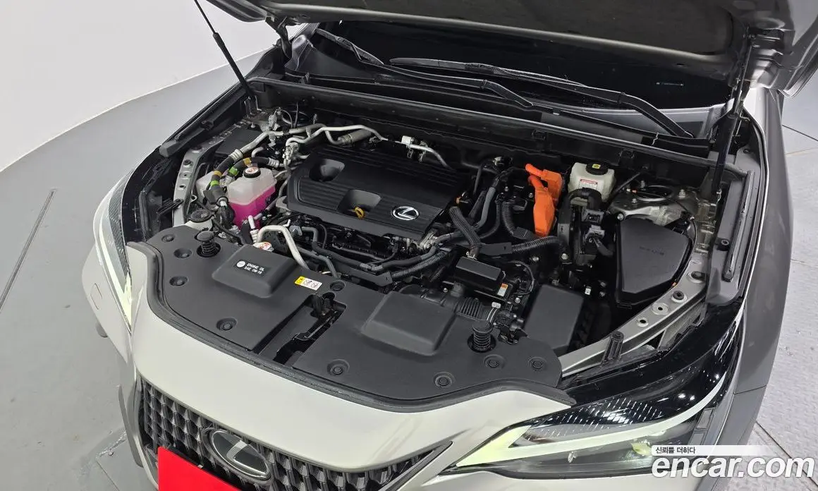Lexus NX 2023 2.5 автомат (гидро), фото 5 Lexus NX 2023 2.5 автомат (гидро), фото 5