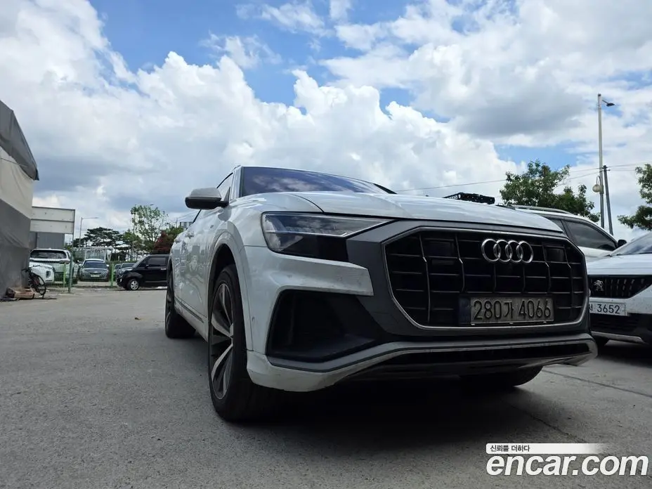 Audi Q8 2021 3.0 автомат (гидро), фото 1 Audi Q8 2021 3.0 автомат (гидро), фото 1
