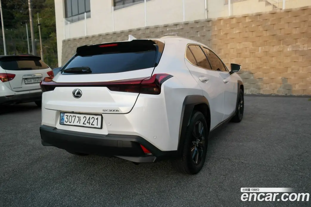 Lexus UX 2024 2.0 автомат (гидро), фото 4 Lexus UX 2024 2.0 автомат (гидро), фото 4