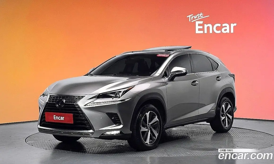 Lexus NX 2018 2.5 автомат (гидро), фото 30 Lexus NX 2018 2.5 автомат (гидро), фото 30