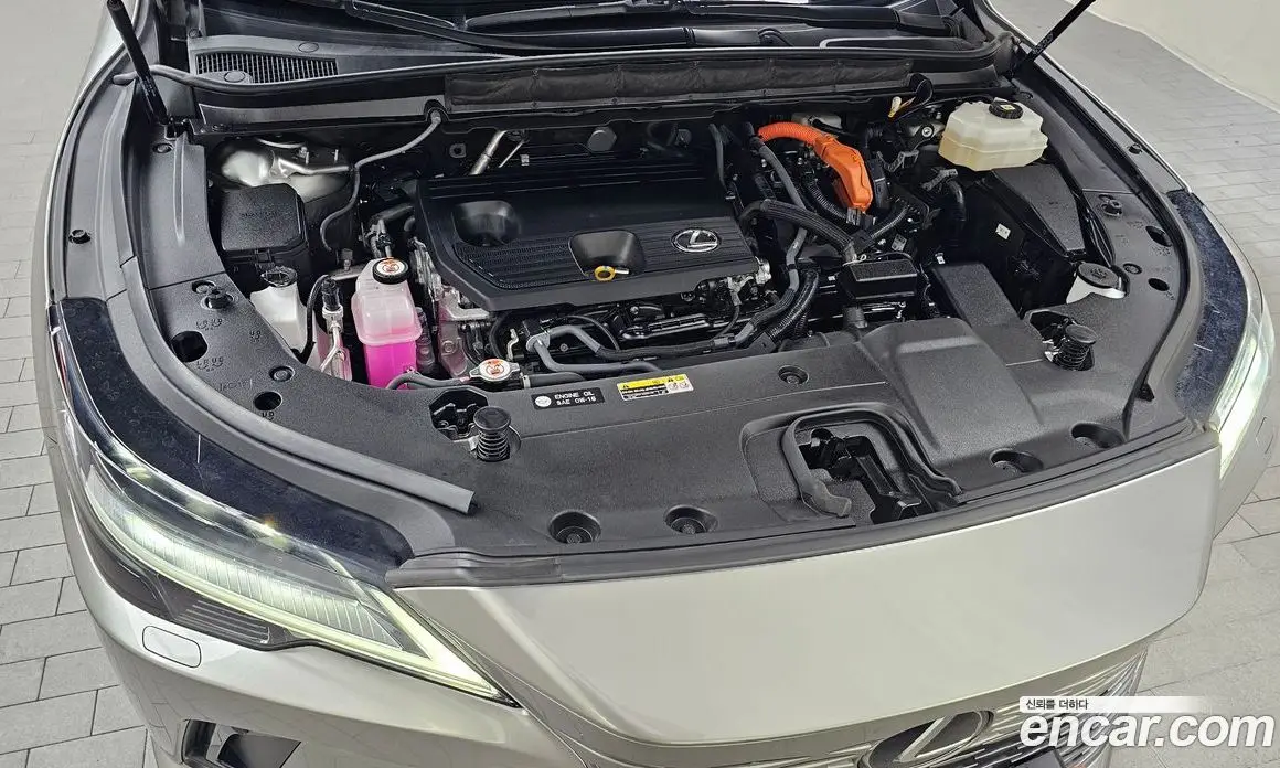 Lexus RX 2025 2.5 автомат (гидро), фото 5 Lexus RX 2025 2.5 автомат (гидро), фото 5