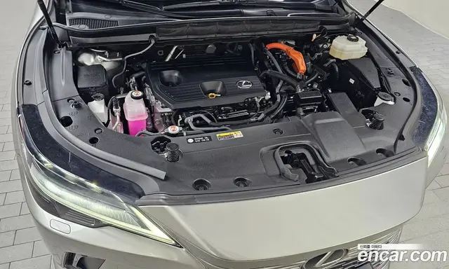 Lexus RX 2025 2.5 автомат (гидро), миниатюра 5 Lexus RX 2025 2.5 автомат (гидро), миниатюра 5