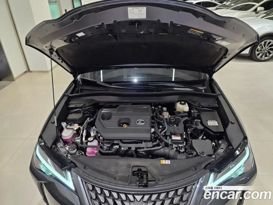 Lexus UX 2025 2.0 автомат (вариатор), фото 6 Lexus UX 2025 2.0 автомат (вариатор), фото 6