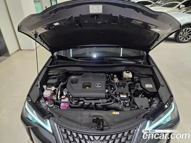 Lexus UX 2025 2.0 автомат (вариатор), миниатюра 6 Lexus UX 2025 2.0 автомат (вариатор), миниатюра 6