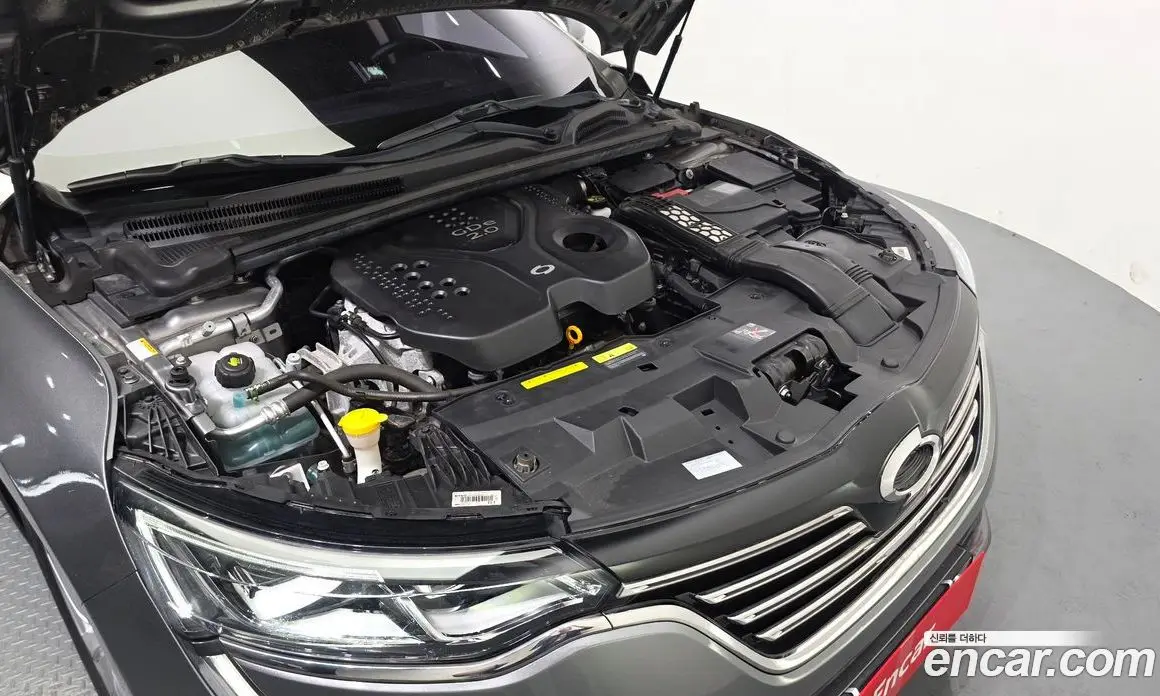 Renault (Samsung) SM6 2019 2.0 автомат (гидро), фото 6