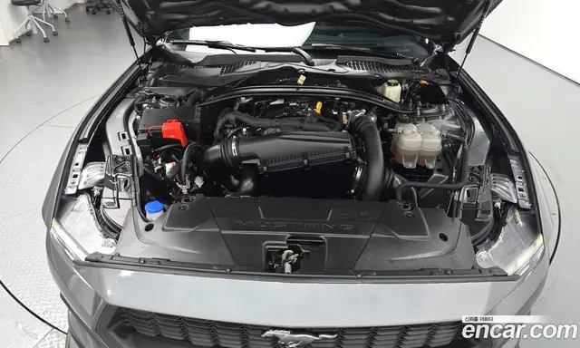 Ford Mustang 2024 2.3 автомат (гидро), миниатюра 6 Ford Mustang 2024 2.3 автомат (гидро), миниатюра 6