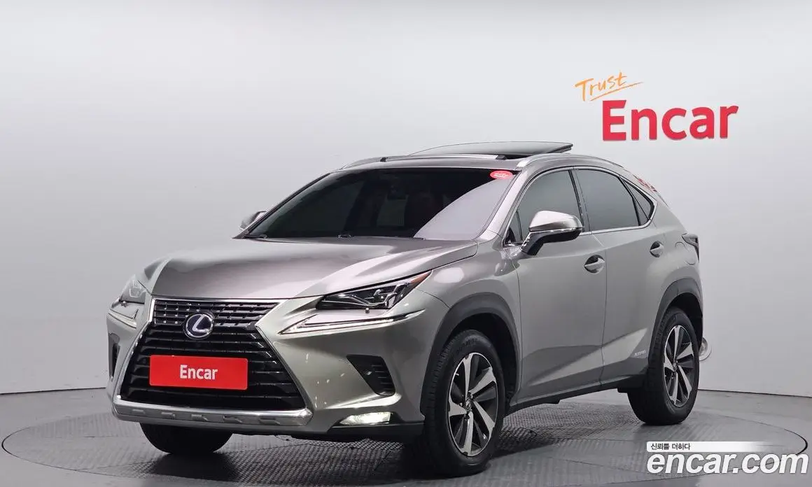 Lexus NX 2018 2.5 автомат (гидро), фото 1 Lexus NX 2018 2.5 автомат (гидро), фото 1