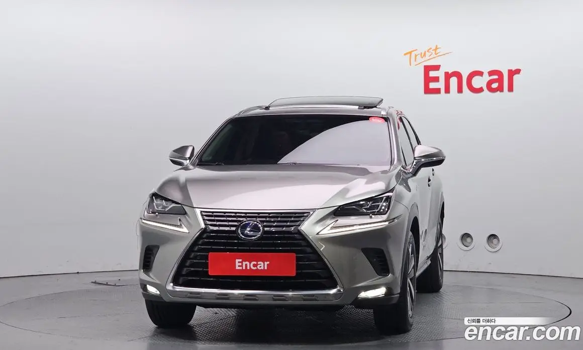 Lexus NX 2018 2.5 автомат (гидро), фото 3 Lexus NX 2018 2.5 автомат (гидро), фото 3