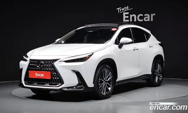 Lexus NX, 2024, 14 618 км