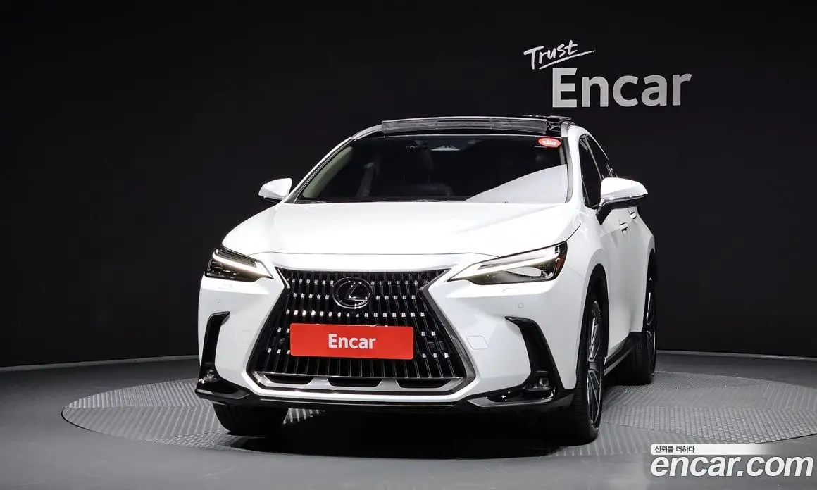 Lexus NX 2024 2.5 автомат (гидро), фото 3 Lexus NX 2024 2.5 автомат (гидро), фото 3