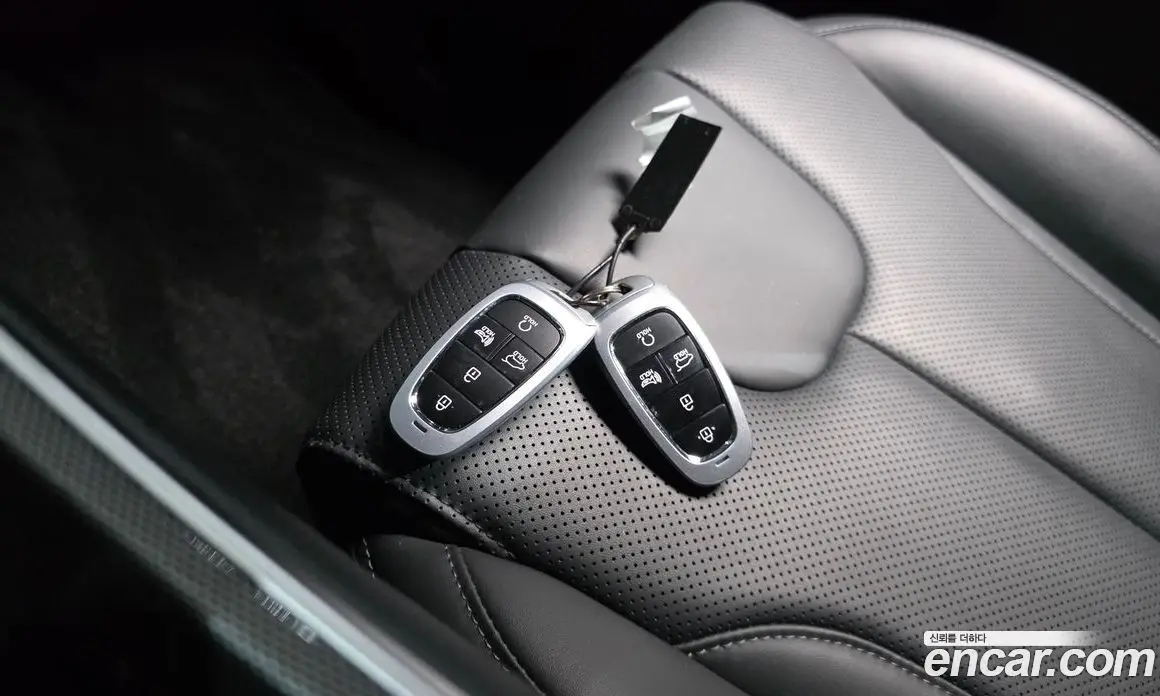 Hyundai Santa Fe 2022 2.2 автомат (гидро), фото 31 Hyundai Santa Fe 2022 2.2 автомат (гидро), фото 31