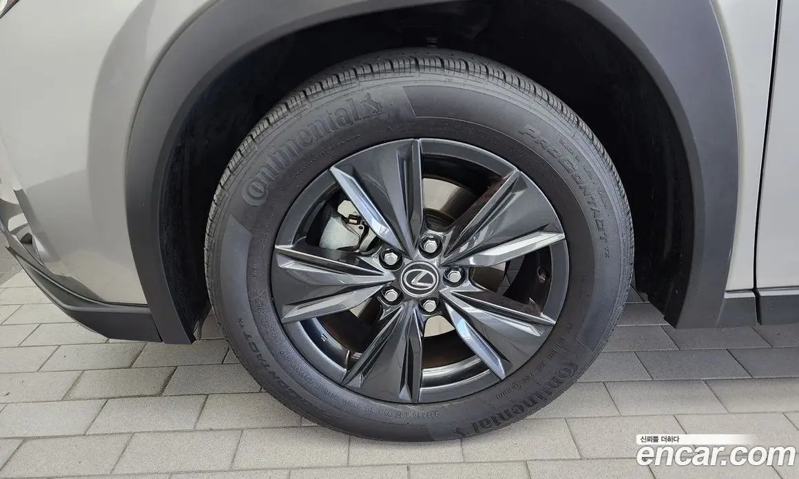 Lexus UX 2025 2.0 автомат (гидро), фото 5