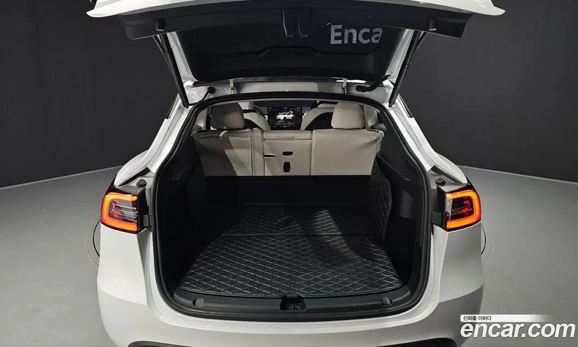 Tesla Model Y 2024 0.2 автомат (гидро), фото 25 Tesla Model Y 2024 0.2 автомат (гидро), фото 25