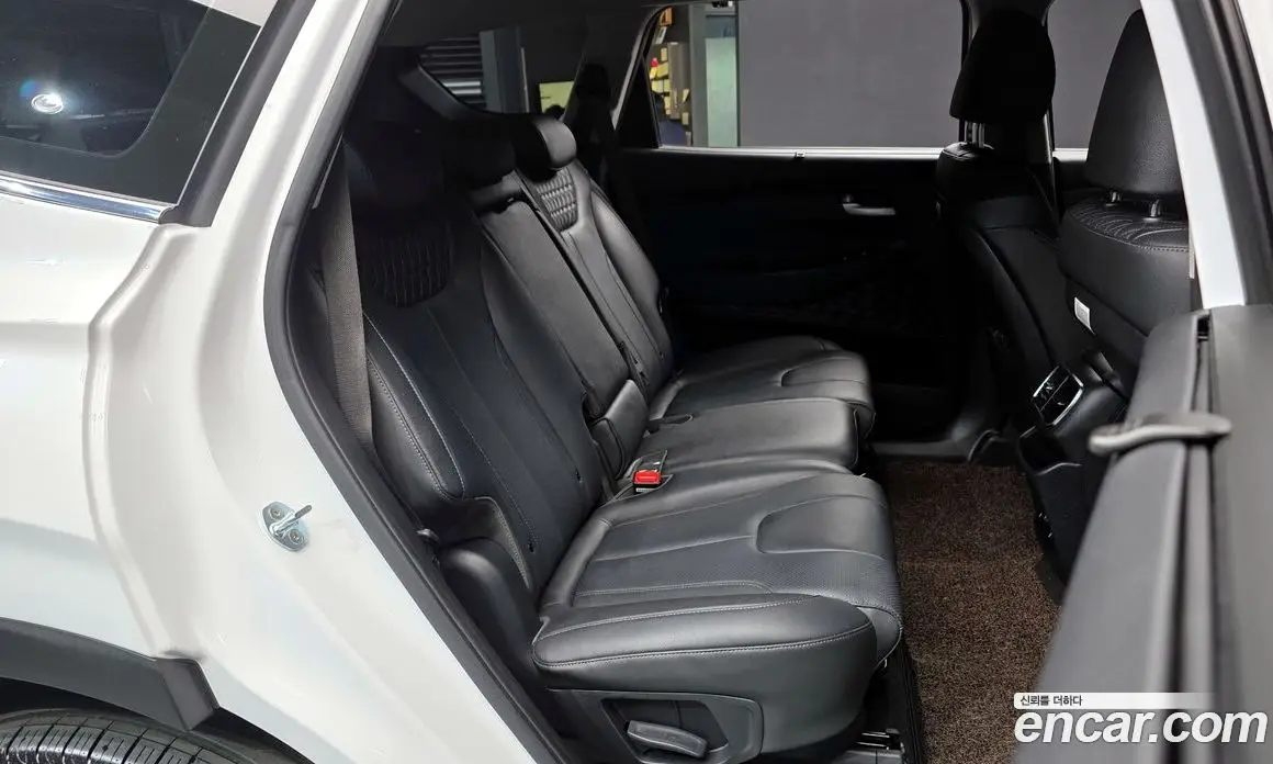 Hyundai Santa Fe 2020 2.0 автомат (гидро), фото 12