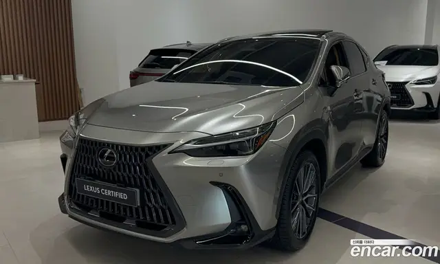 Lexus NX 2025 2.5 автомат (вариатор), миниатюра 1 Lexus NX 2025 2.5 автомат (вариатор), миниатюра 1