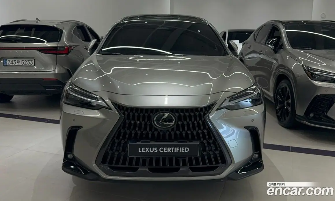 Lexus NX 2025 2.5 автомат (вариатор), фото 3 Lexus NX 2025 2.5 автомат (вариатор), фото 3