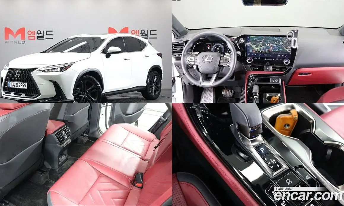 Lexus NX 2025 2.5 автомат (гидро), фото 1 Lexus NX 2025 2.5 автомат (гидро), фото 1