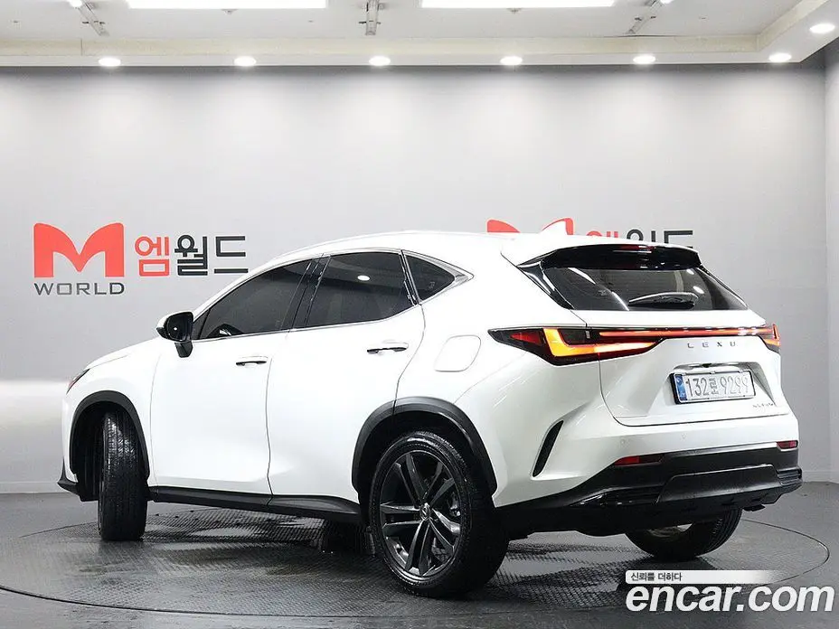Lexus NX 2025 2.5 автомат (гидро), фото 3 Lexus NX 2025 2.5 автомат (гидро), фото 3