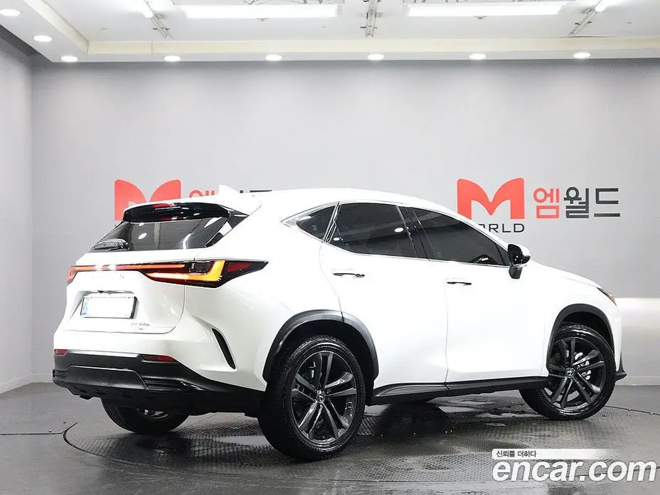 Lexus NX 2025 2.5 автомат (гидро), фото 4 Lexus NX 2025 2.5 автомат (гидро), фото 4