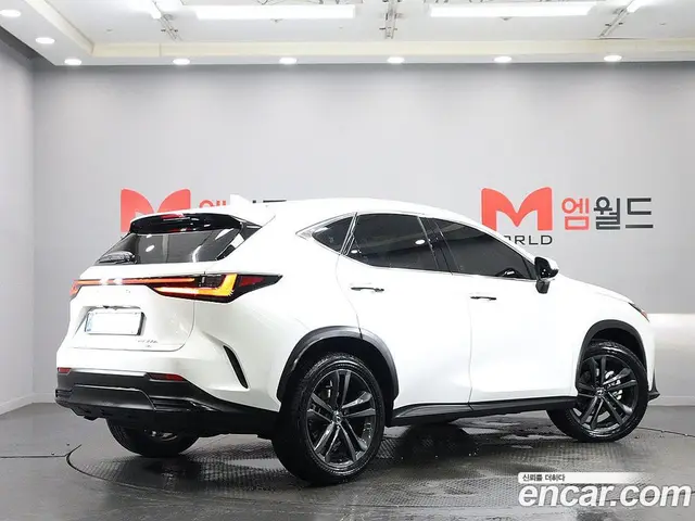 Lexus NX 2025 2.5 автомат (гидро), миниатюра 4 Lexus NX 2025 2.5 автомат (гидро), миниатюра 4