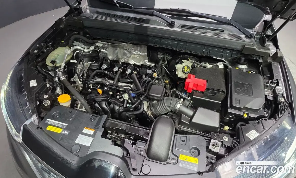 Renault (Samsung) XM3 2021 1.6 автомат (гидро), фото 6