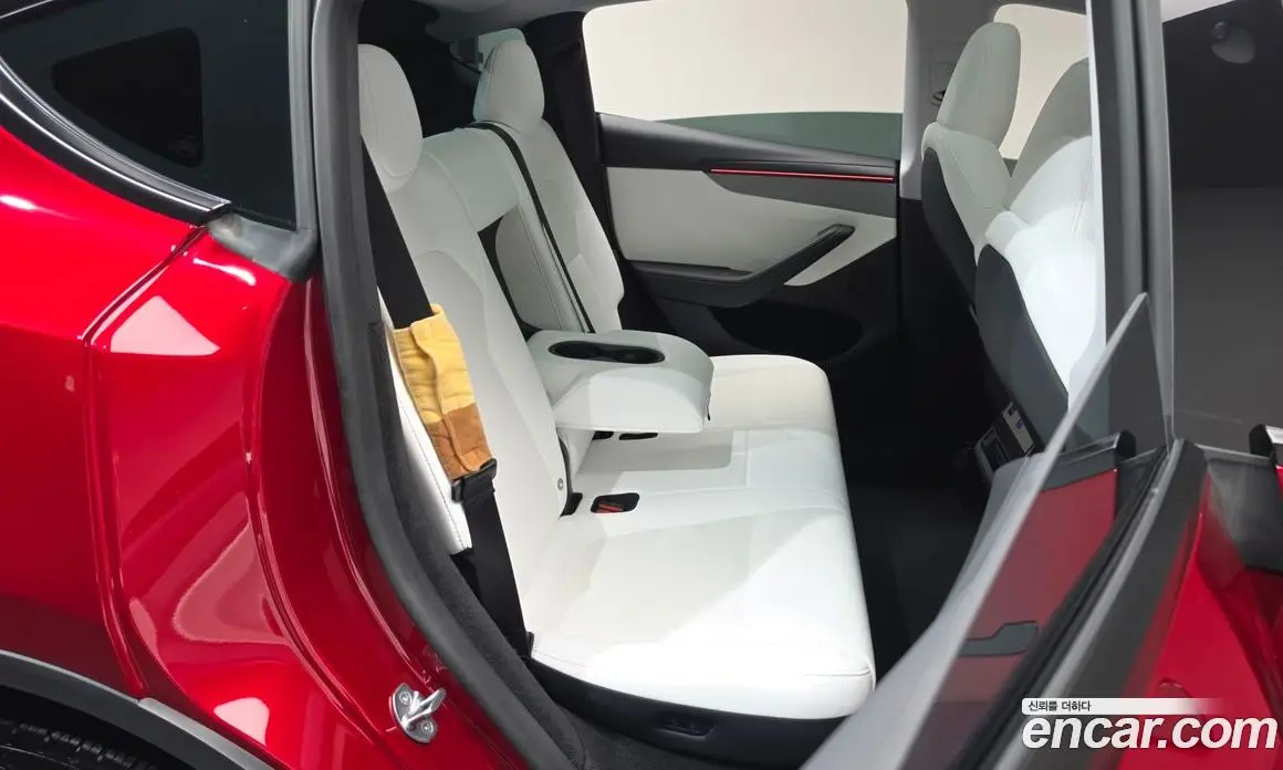 Tesla Model Y 2025 0.2 автомат (гидро), фото 16 Tesla Model Y 2025 0.2 автомат (гидро), фото 16
