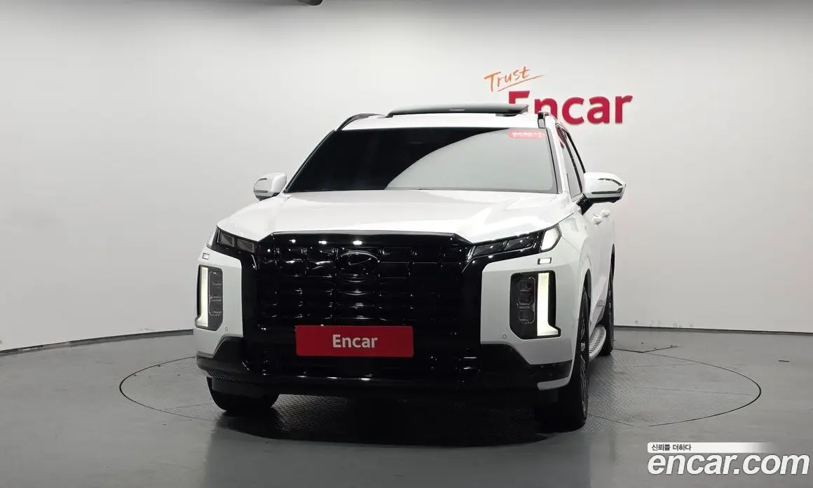 Hyundai Palisade 2024 2.2 автомат (гидро), фото 2 Hyundai Palisade 2024 2.2 автомат (гидро), фото 2