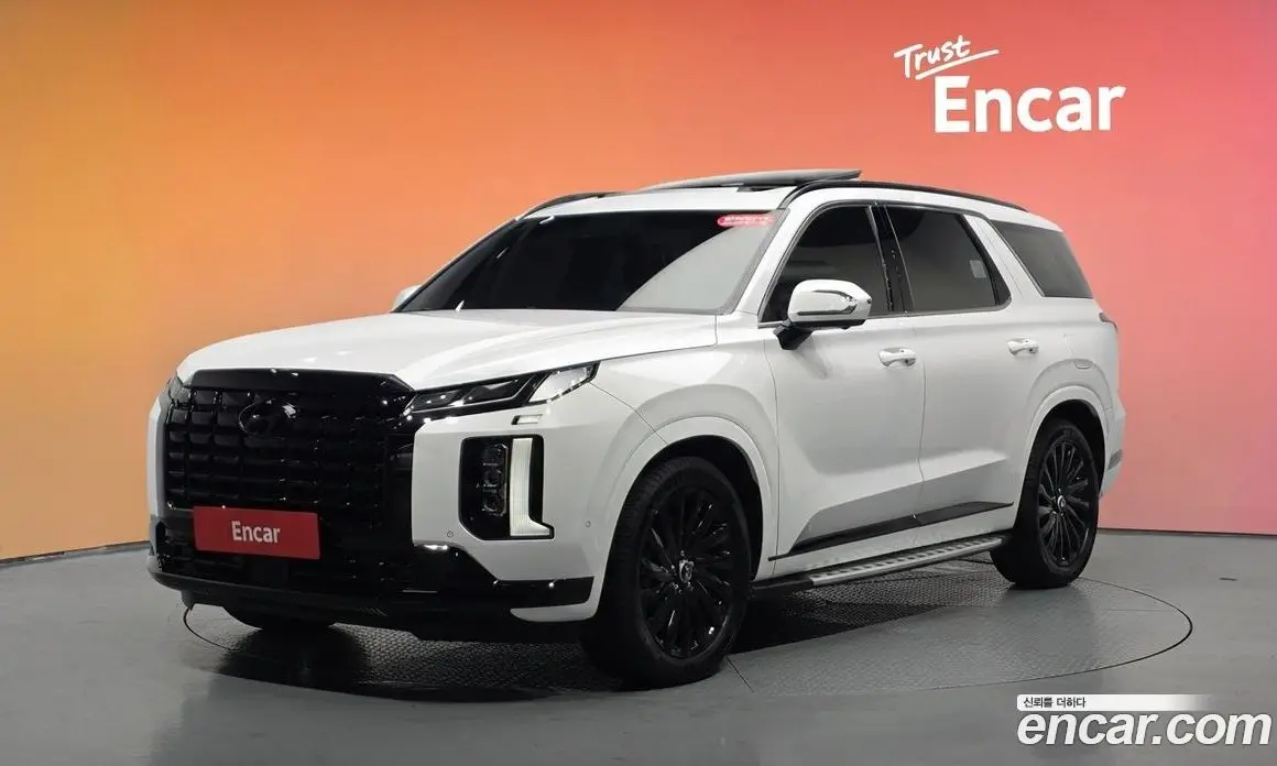 Hyundai Palisade 2024 2.2 автомат (гидро), фото 32 Hyundai Palisade 2024 2.2 автомат (гидро), фото 32