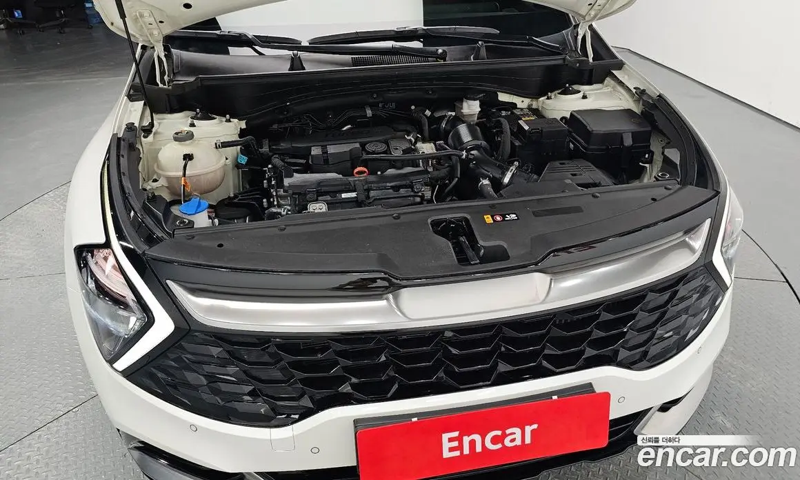 Kia Sportage 2021 1.6 автомат (гидро), фото 6 Kia Sportage 2021 1.6 автомат (гидро), фото 6