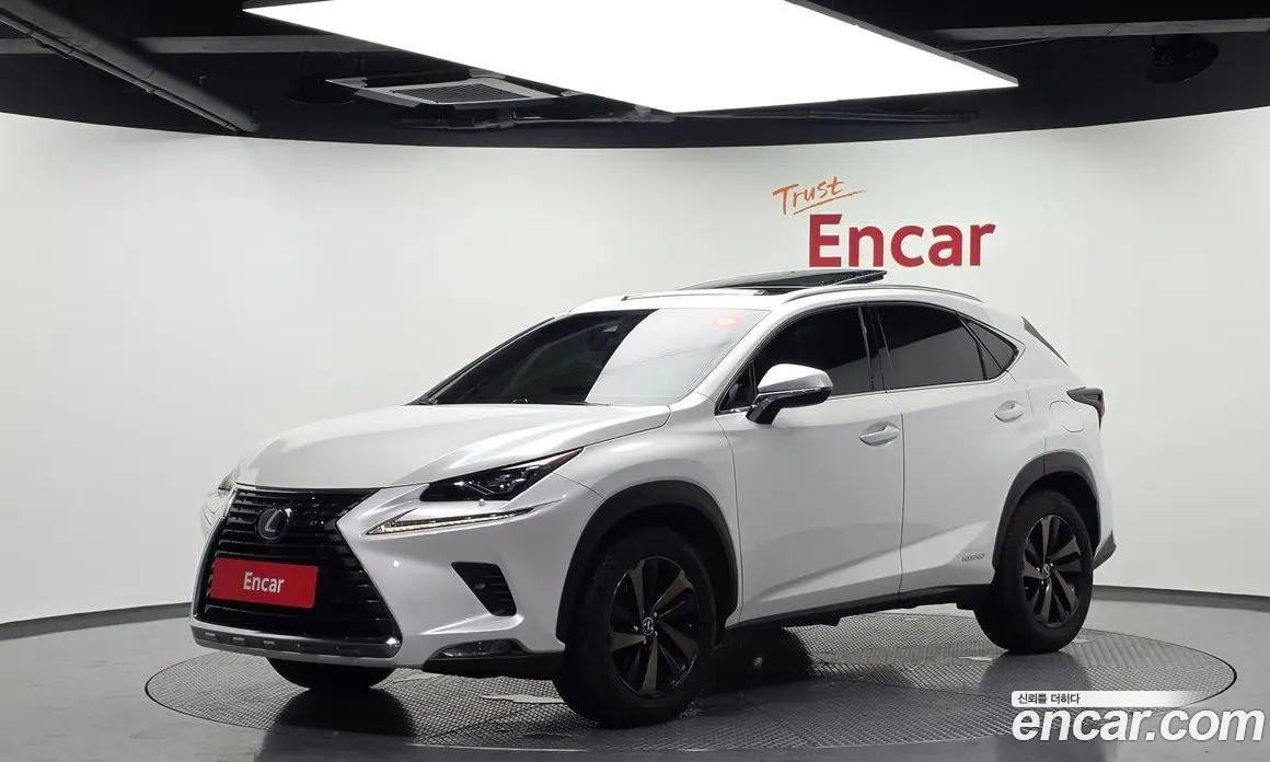 Lexus NX 2019 2.5 автомат (гидро), фото 1 Lexus NX 2019 2.5 автомат (гидро), фото 1