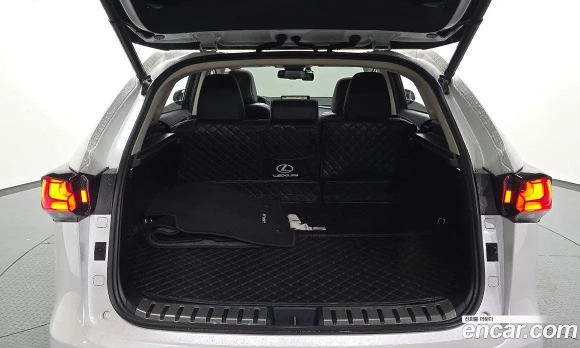 Lexus NX 2019 2.5 автомат (гидро), фото 19 Lexus NX 2019 2.5 автомат (гидро), фото 19