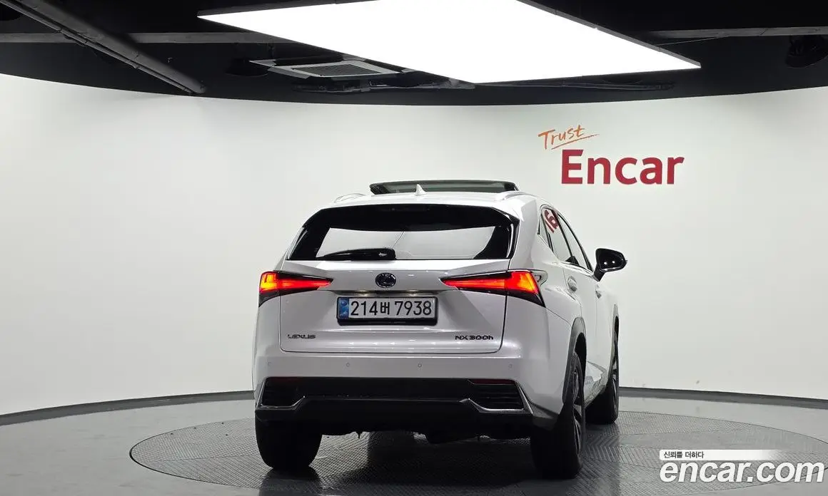 Lexus NX 2019 2.5 автомат (гидро), фото 4 Lexus NX 2019 2.5 автомат (гидро), фото 4