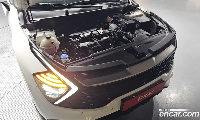 Kia Sportage 2022 1.6 автомат (гидро), миниатюра 5 Kia Sportage 2022 1.6 автомат (гидро), миниатюра 5