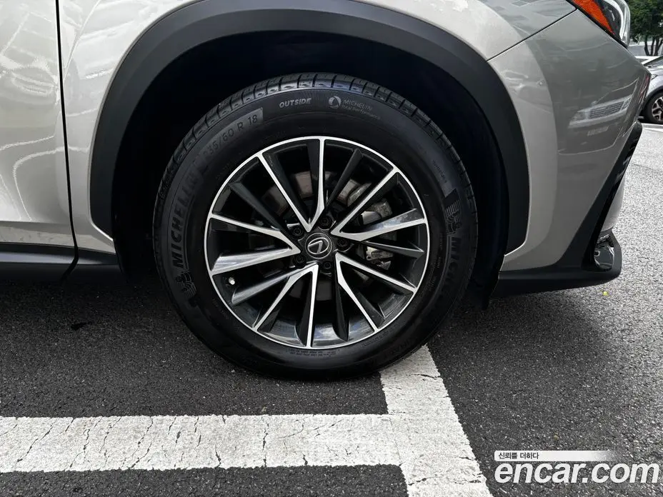 Lexus NX 2022 2.5 автомат (гидро), фото 5 Lexus NX 2022 2.5 автомат (гидро), фото 5