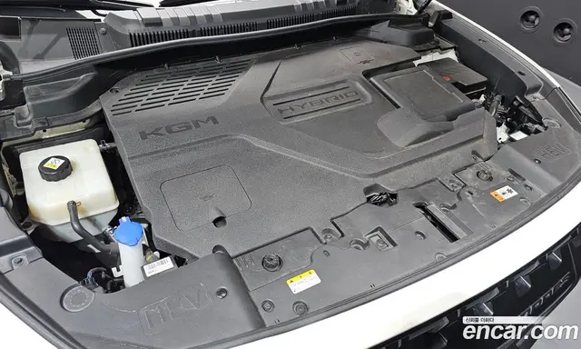 SsangYong Torres 2025 1.5 автомат (гидро), миниатюра 5 SsangYong Torres 2025 1.5 автомат (гидро), миниатюра 5