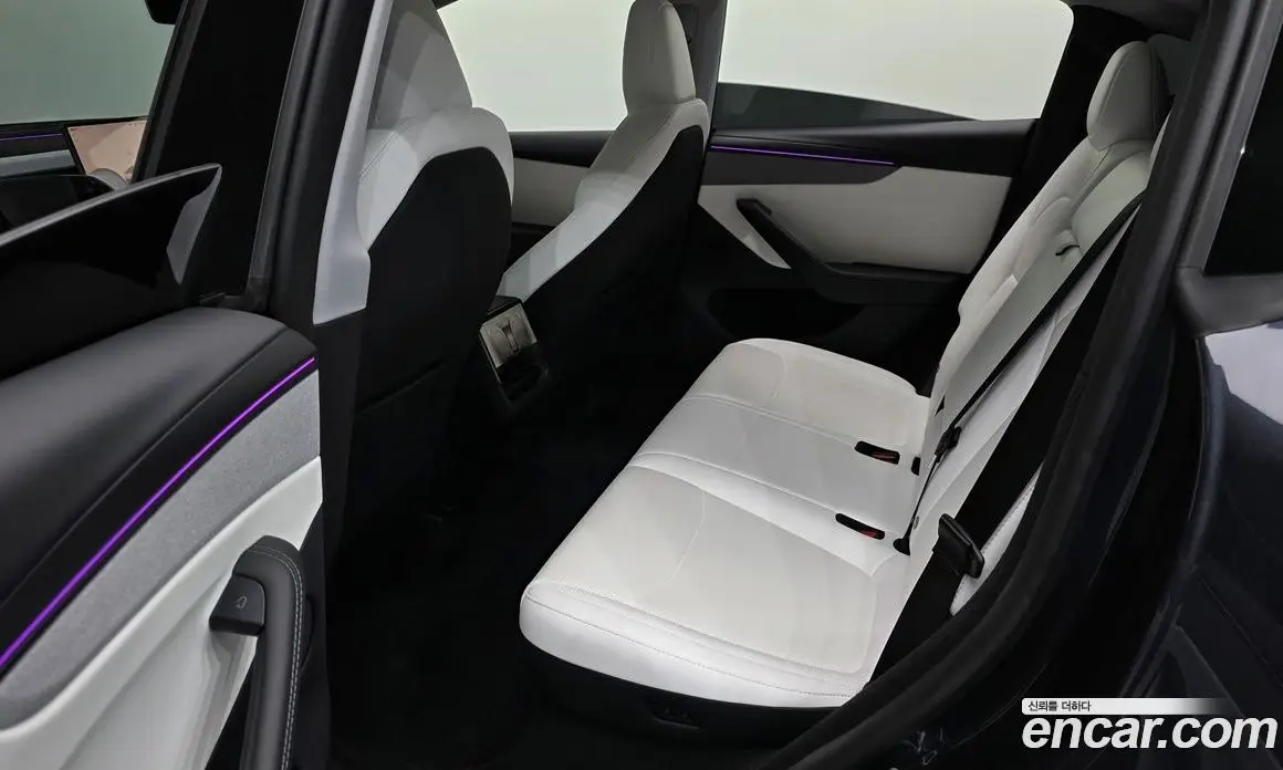 Tesla Model Y 2025 0.2 автомат (гидро), фото 18 Tesla Model Y 2025 0.2 автомат (гидро), фото 18