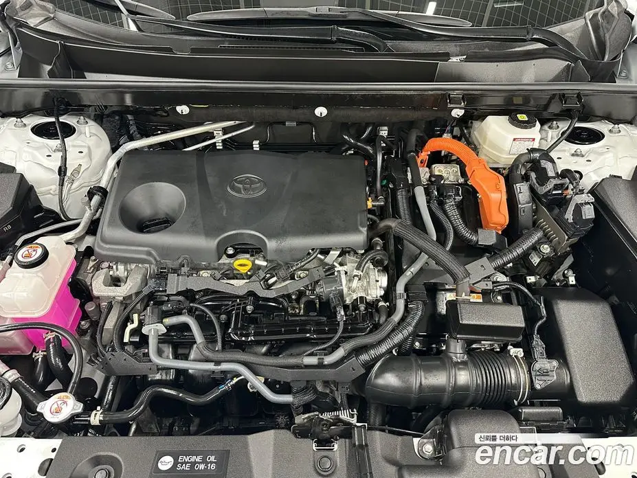 Toyota RAV4 2023 2.5 автомат (вариатор), фото 6 Toyota RAV4 2023 2.5 автомат (вариатор), фото 6