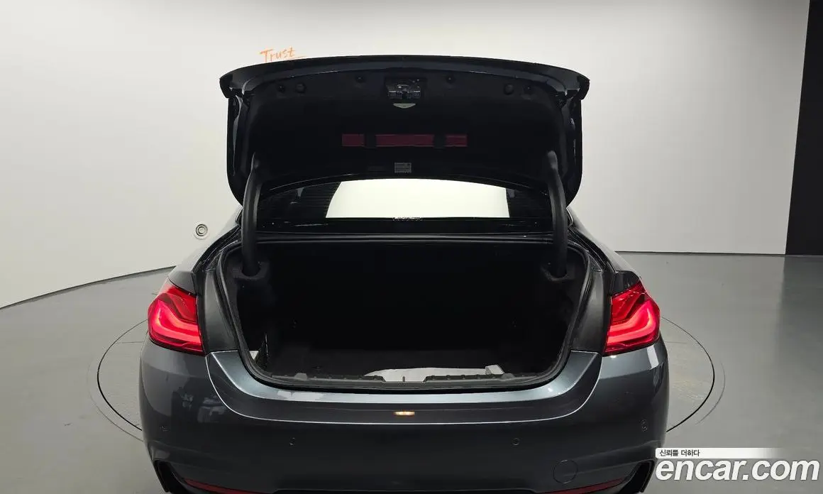 BMW 4 серия 2017 2.0 автомат (гидро), фото 25 BMW 4 серия 2017 2.0 автомат (гидро), фото 25