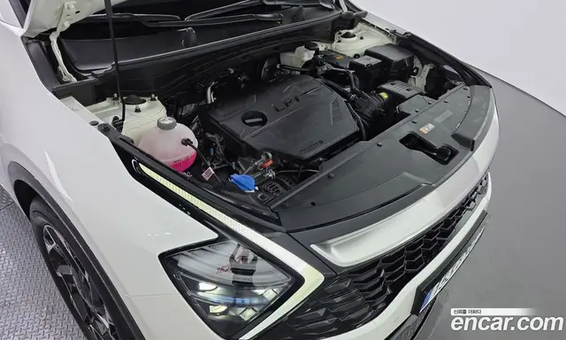 Kia Sportage 2023 2.0 автомат (гидро), миниатюра 6 Kia Sportage 2023 2.0 автомат (гидро), миниатюра 6