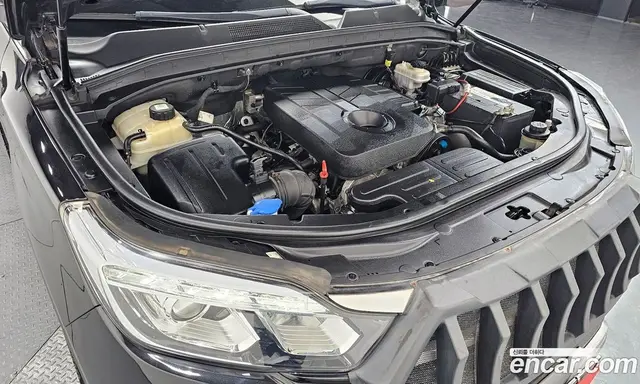 SsangYong Rexton 2018 2.2 автомат (гидро), миниатюра 6 SsangYong Rexton 2018 2.2 автомат (гидро), миниатюра 6