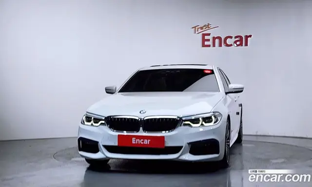 BMW 5 серия 2019 2.0 автомат (гидро), миниатюра 3