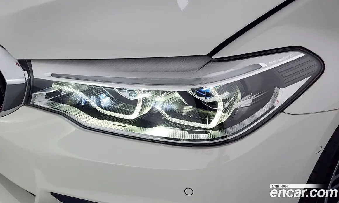 BMW 5 серия 2019 2.0 автомат (гидро), фото 8