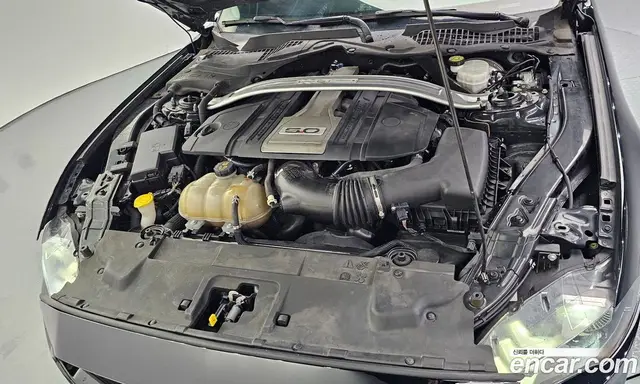 Ford Mustang 2019 5.0 автомат (гидро), миниатюра 6 Ford Mustang 2019 5.0 автомат (гидро), миниатюра 6