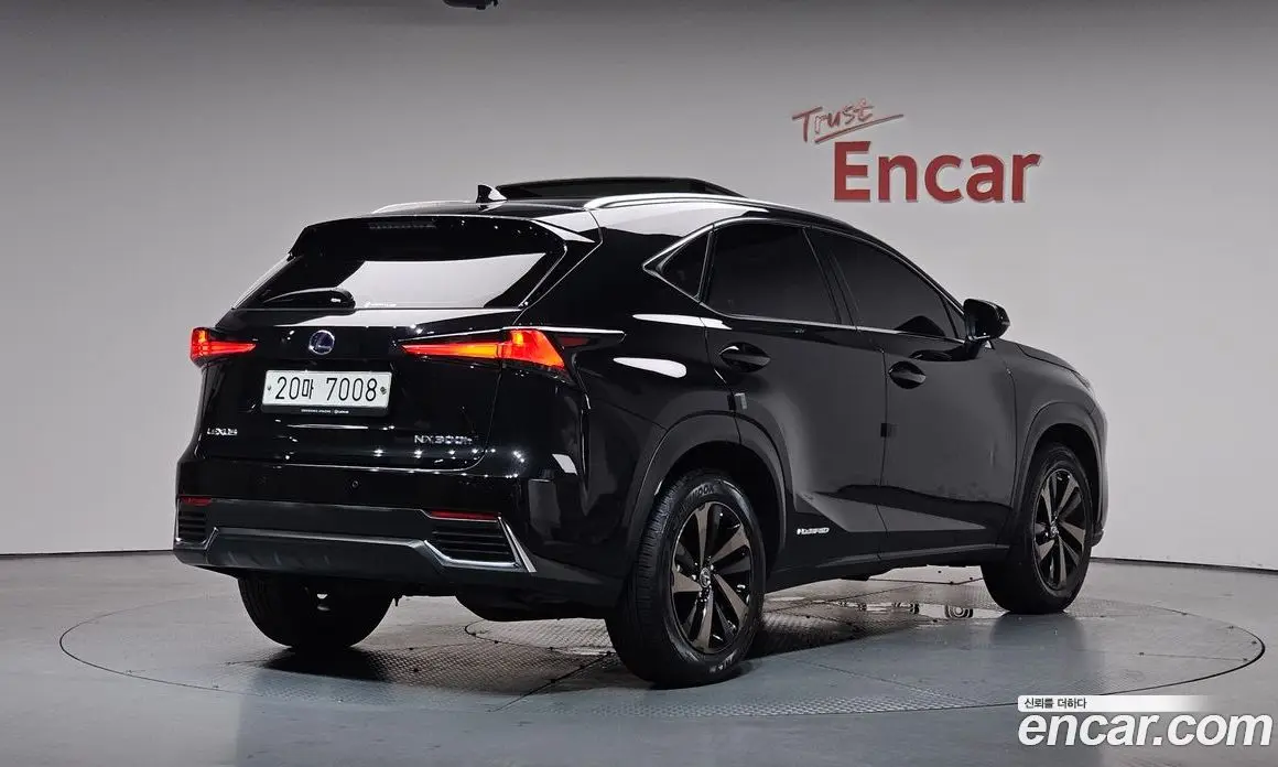Lexus NX 2019 2.5 автомат (гидро), фото 1 Lexus NX 2019 2.5 автомат (гидро), фото 1