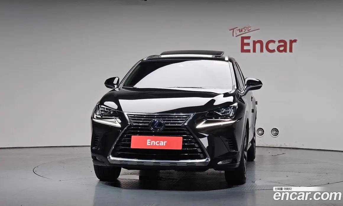 Lexus NX 2019 2.5 автомат (гидро), фото 2 Lexus NX 2019 2.5 автомат (гидро), фото 2