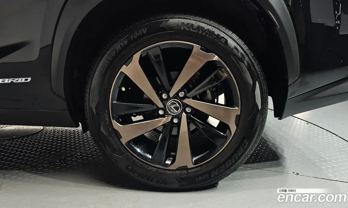 Lexus NX 2019 2.5 автомат (гидро), фото 6 Lexus NX 2019 2.5 автомат (гидро), фото 6